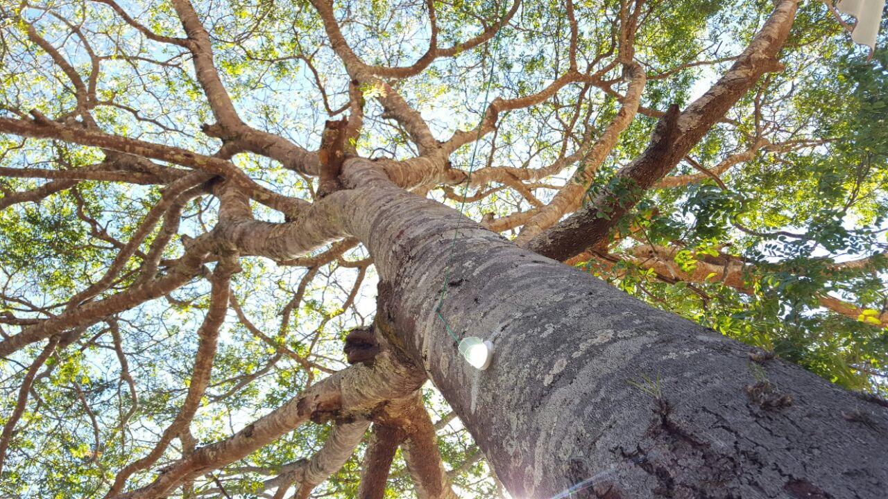 Pousada Toca Da Raposa Cavalcante Ngoại thất bức ảnh